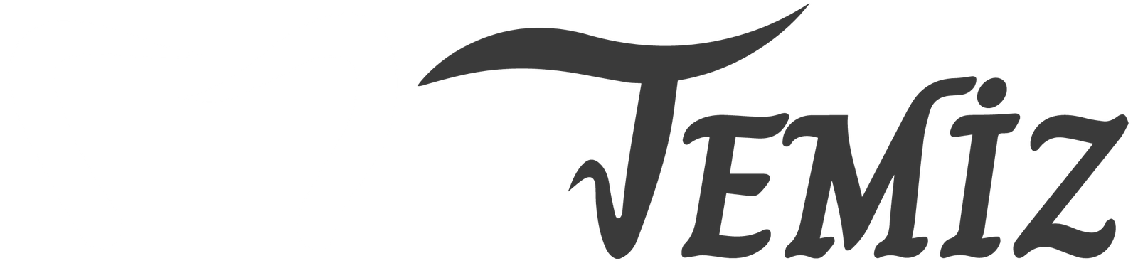 temizdis.com.tr