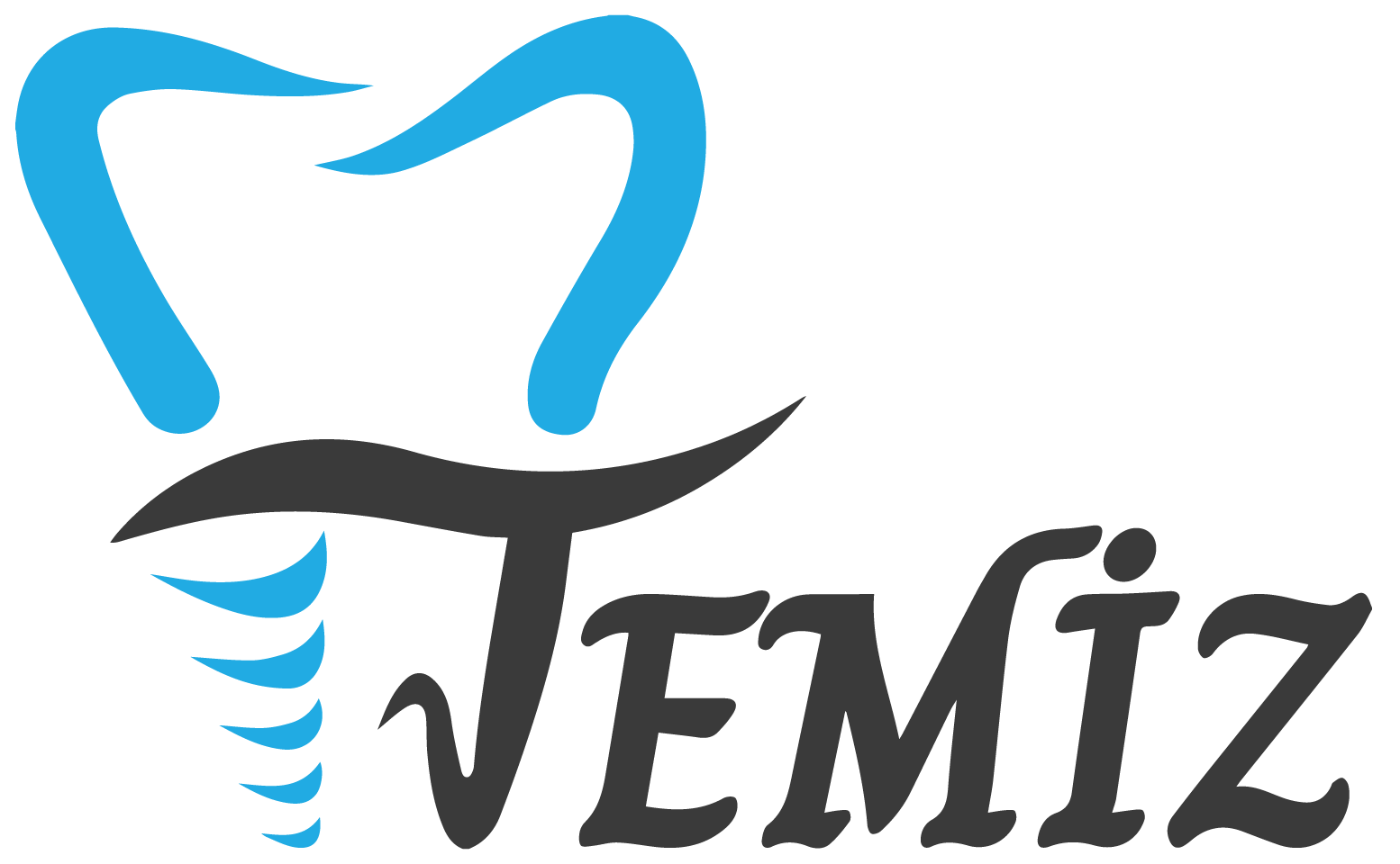 temizdis.com.tr